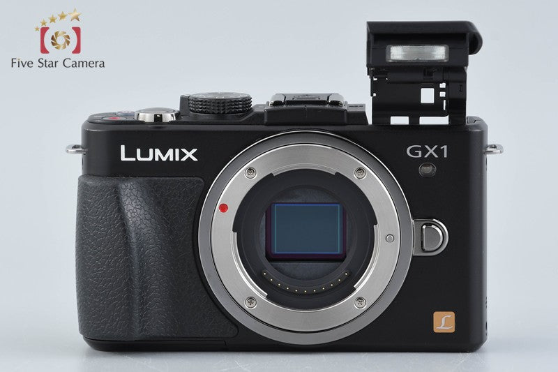 Panasonic LUMIX DMC-GX1 Esprit Black 16.0 MP 14-42 Lens [Japanese Language Only]