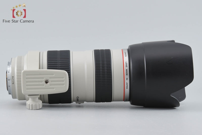 Canon EF 70-200mm f/2.8 L USM