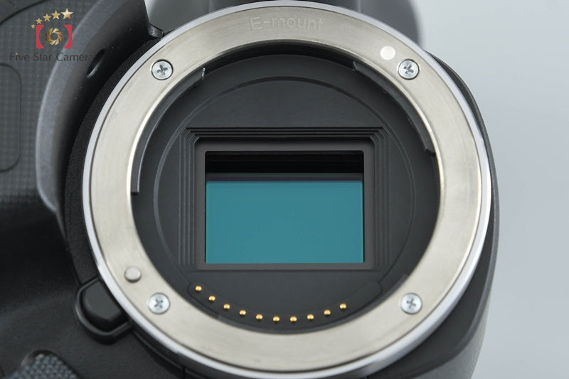 Sony NEX-VG10 Digital HD Camcorder 18-200 Lens [Japanese Language Only]