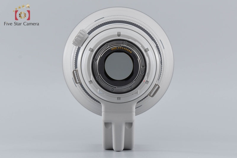 Canon EF 400mm f/2.8 L IS II USM
