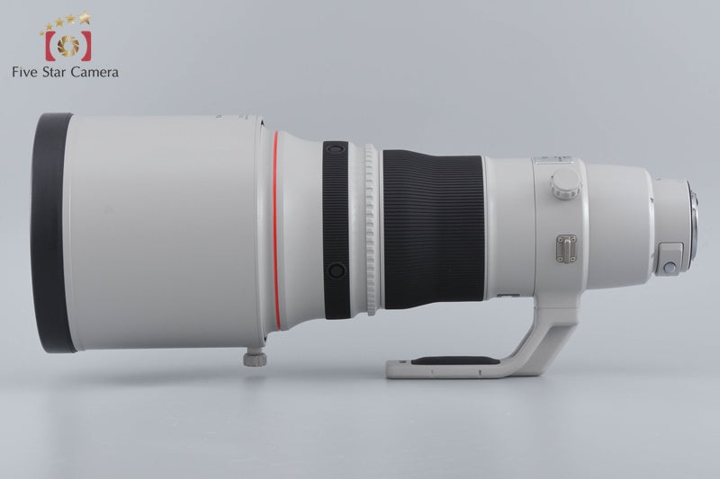 Canon EF 400mm f/2.8 L IS II USM