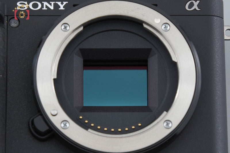 Sony Alpha α6400 ILCE-6400 24.2 MP 16-50 55-210 Lenses [Japanese Language Only]