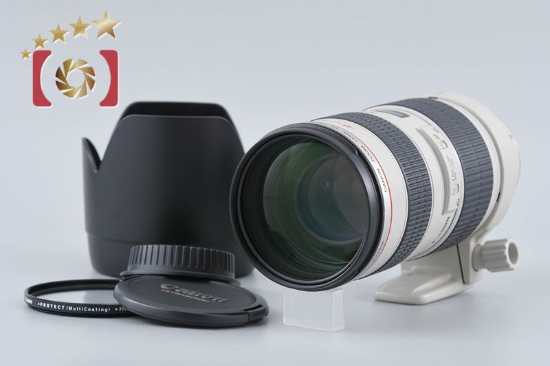 Canon EF 70-200mm f/2.8 L USM