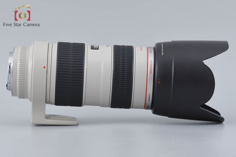 Canon EF 70-200mm f/2.8 L USM