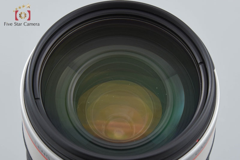 Canon EF 35-350mm f/3.5-5.6 L USM