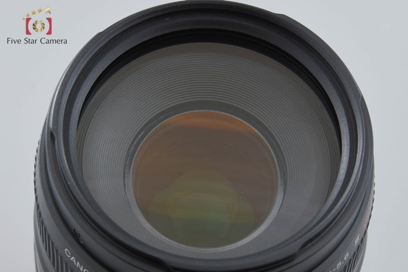 Canon EF 75-300mm f/4-5.6 III USM
