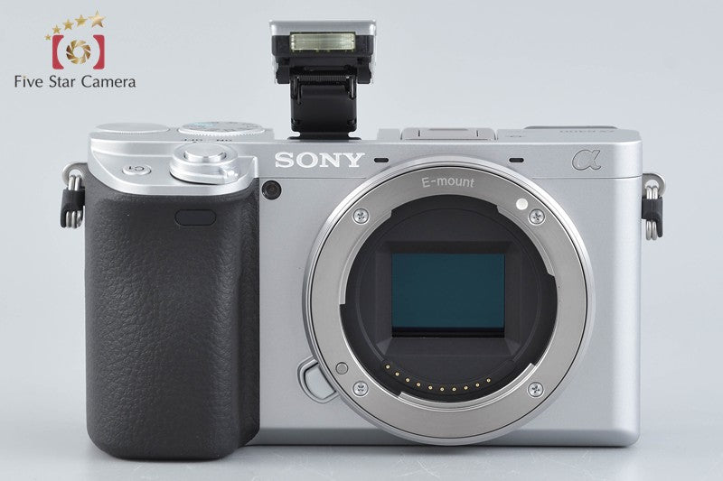 Sony α6400 ILCE-6400 Silver 24.2 MP 16-50 55-210 Lenses [Japanese Language Only]