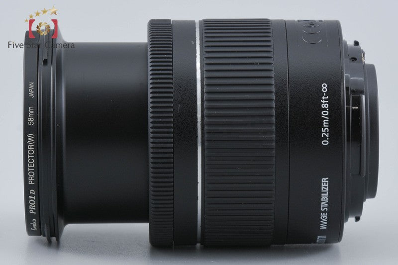 Canon EF-S 18-55mm f/4-5.6 IS STM