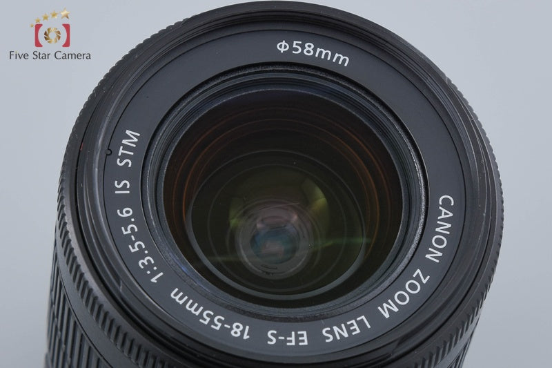 Canon EF-S 18-55mm f/3.5-5.6 IS STM