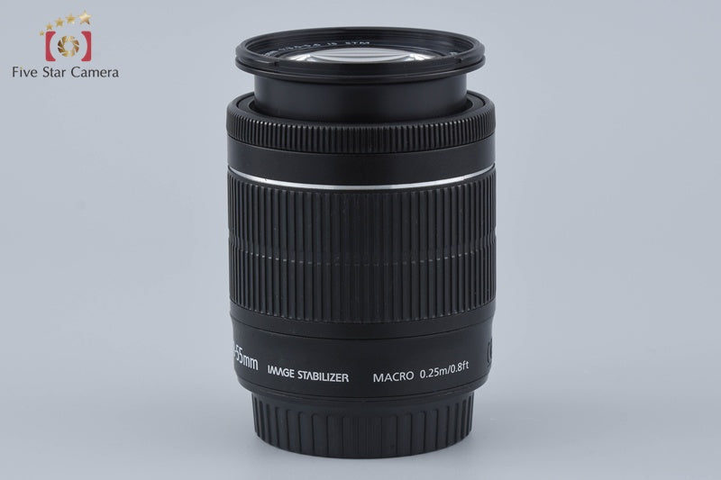 Canon EF-S 18-55mm f/3.5-5.6 IS STM