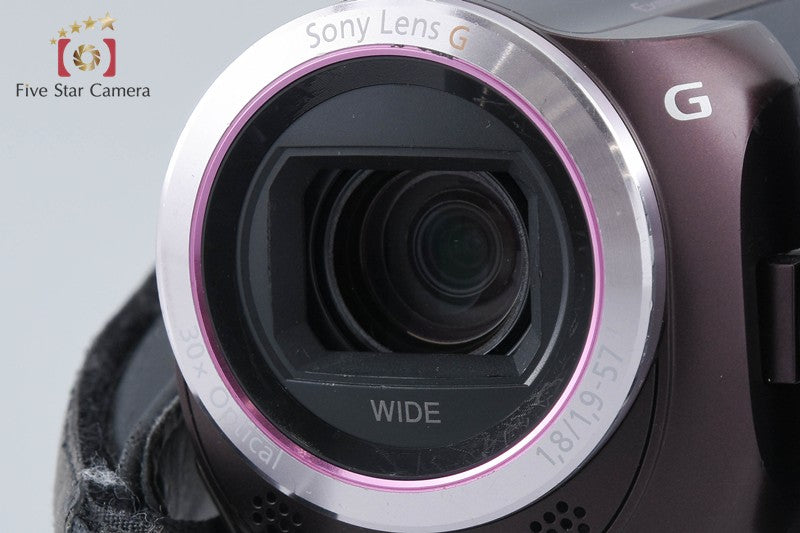 SONY HANDYCAM HDR-PJ390 Brown Digital HD Camcorder [Japanese Language Only]