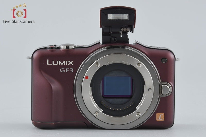 Panasonic LUMIX DMC-GF3 Brown 12.1 MP 14-42 Lens [Japanese Language Only]