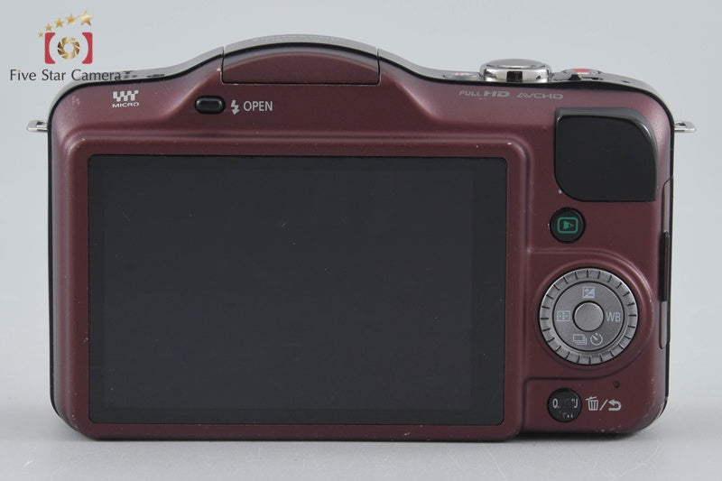 Panasonic LUMIX DMC-GF3 Brown 12.1 MP 14-42 Lens [Japanese Language Only]