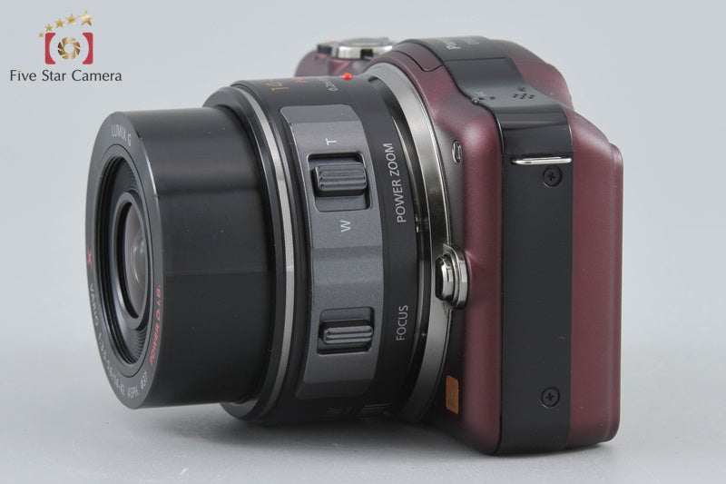 Panasonic LUMIX DMC-GF3 Brown 12.1 MP 14-42 Lens [Japanese Language Only]