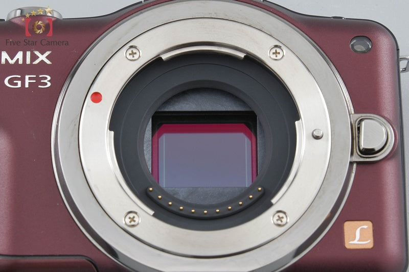 Panasonic LUMIX DMC-GF3 Brown 12.1 MP 14-42 Lens [Japanese Language Only]