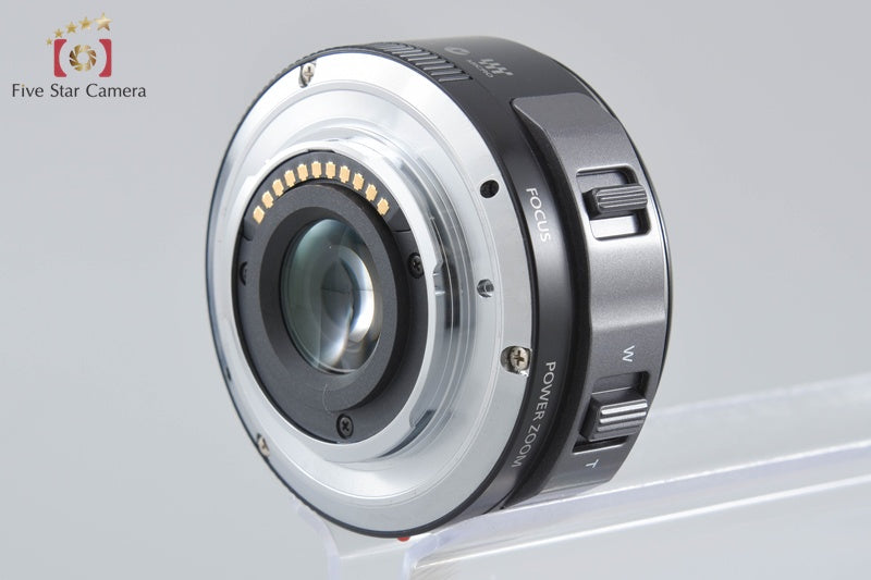 Panasonic LUMIX DMC-GF3 Brown 12.1 MP 14-42 Lens [Japanese Language Only]
