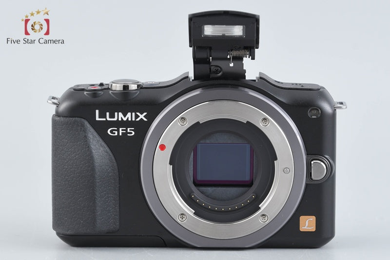 Panasonic DMC-GF5X Esprit Black 12.1 MP 14-42mm Lens [Japanese Language Only]