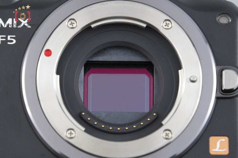 Panasonic DMC-GF5X Esprit Black 12.1 MP 14-42mm Lens [Japanese Language Only]