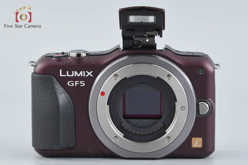 Panasonic LUMIX DMC-GF5 Brown 12.1 MP 14-42 Lens [Japanese Language On