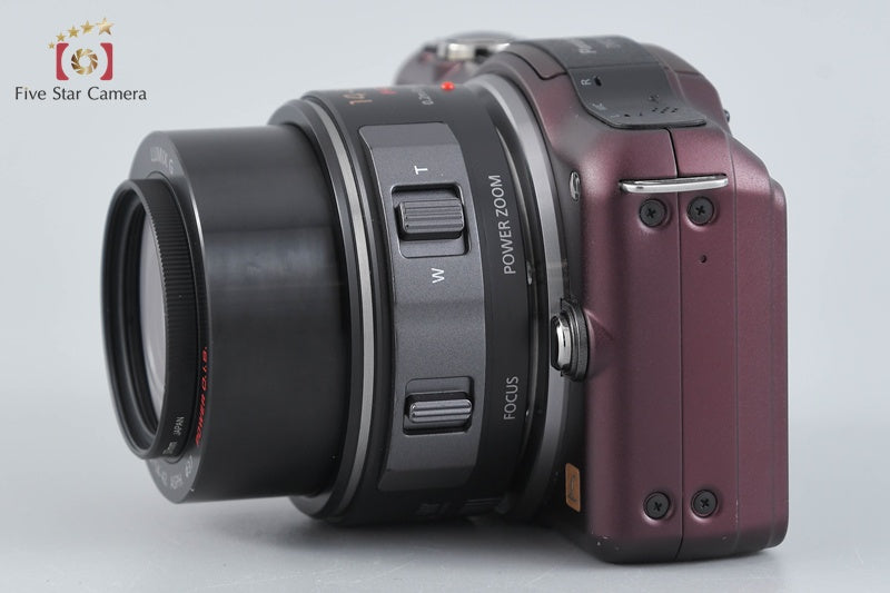 Panasonic LUMIX DMC-GF5 Brown 12.1 MP 14-42 Lens [Japanese Language On