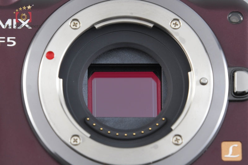 Panasonic LUMIX DMC-GF5 Brown 12.1 MP 14-42 Lens [Japanese Language Only]