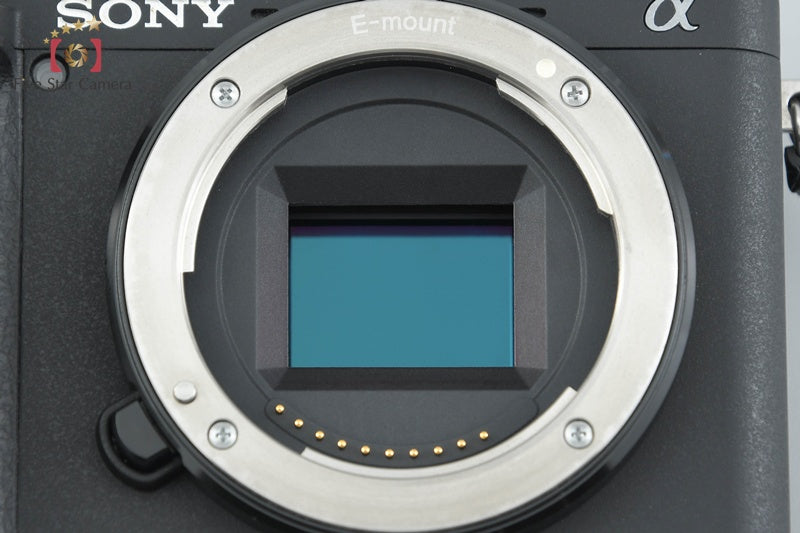 Sony Alpha α6400 ILCE-6400 Black 24.2 MP 16-50 Lens [Japanese Language Only]