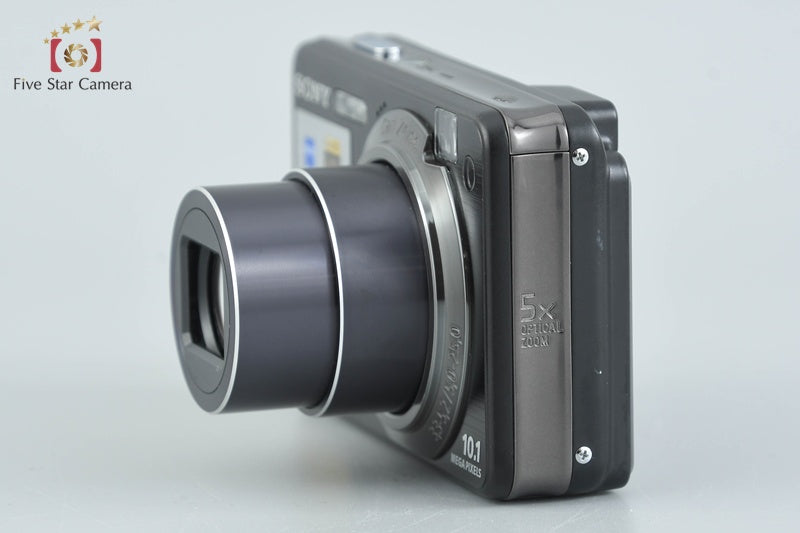 Sony Cyber-Shot DSC-W170 Black 10.1 MP Digital Camera [Japanese Language Only]
