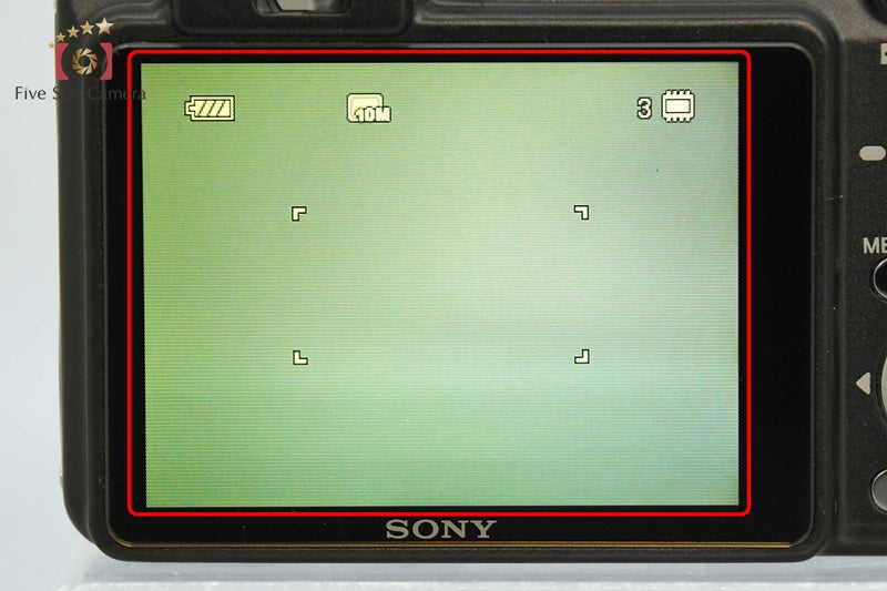 Sony Cyber-Shot DSC-W170 Black 10.1 MP Digital Camera [Japanese Language Only]