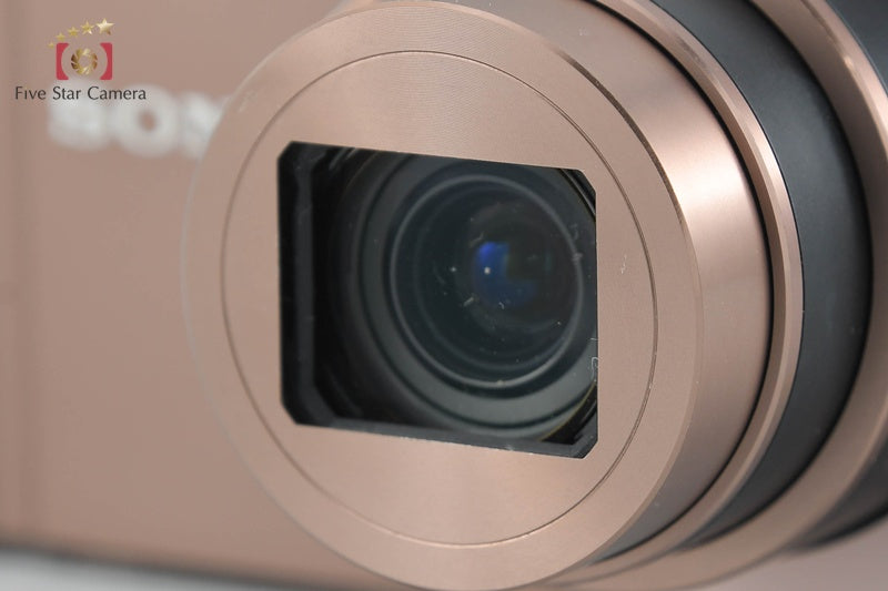 SONY Cyber-shot DSC-WX300 Brown 18.2 MP Digital Camera [Japanese Language Only]