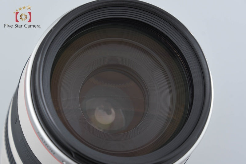 Canon EF 100-400mm f/4.5-5.6 L IS USM