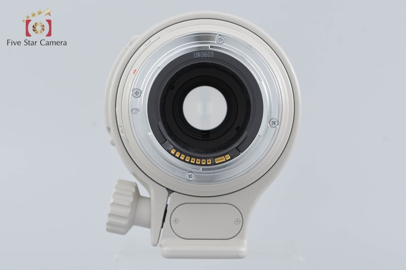 Canon EF 100-400mm f/4.5-5.6 L IS USM