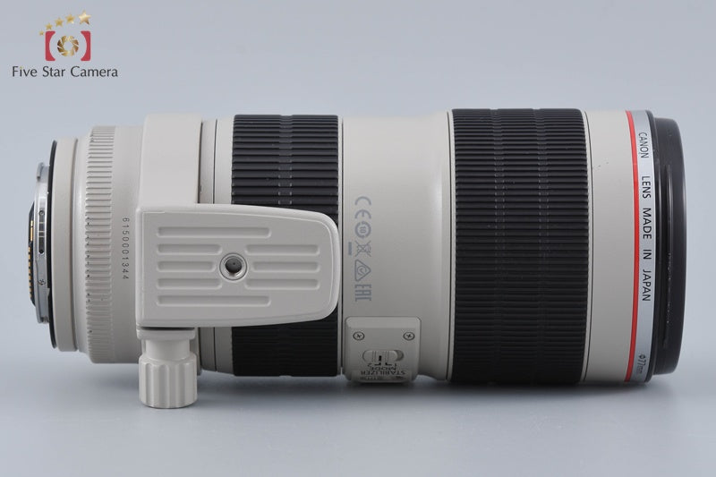 Canon EF 70-200mm f/2.8 L IS II USM