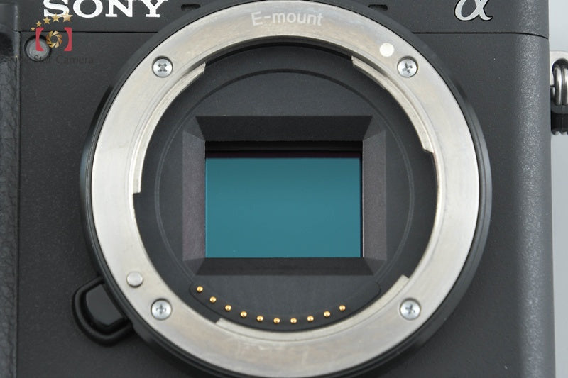 Sony Alpha α6400 ILCE-6400 Black 24.2 MP 16-50 Lens [Japanese Language Only]