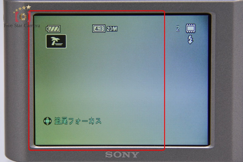 Sony Cyber-Shot DSC-W810 Silver 20.1 MP Digital Camera [Japanese Language Only]