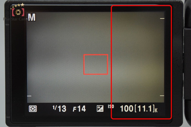 "Count 2,236" Nikon D5100 16.2 MP SLR Digital Camera 18-55 VR Lens