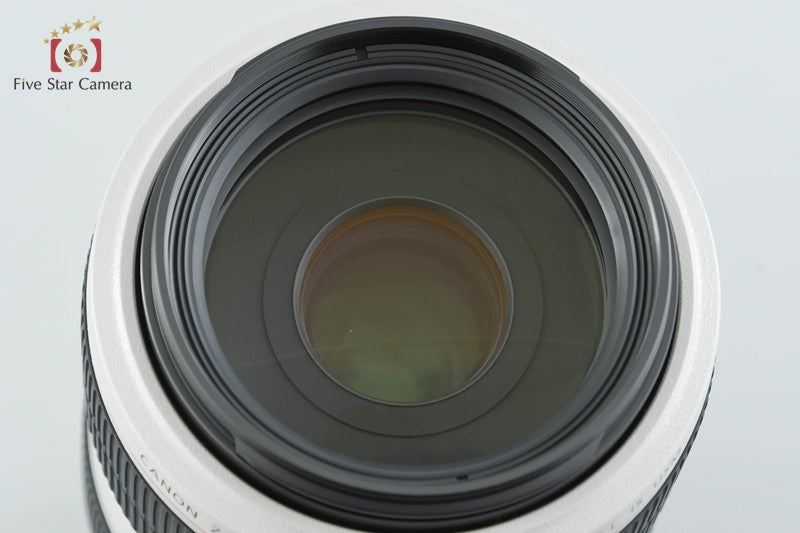 Canon EF 70-300mm f/4-5.6 L IS USM