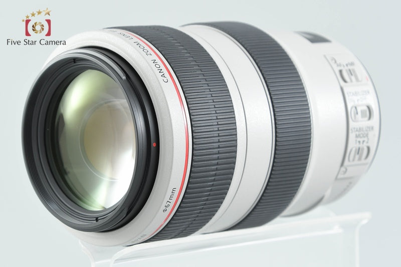 Canon EF 70-300mm f/4-5.6 L IS USM
