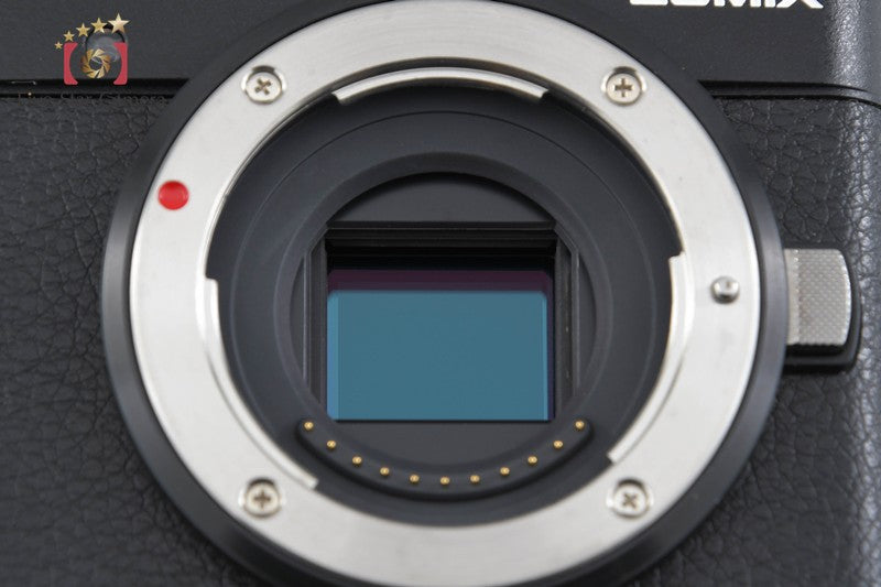 Panasonic LUMIX DC-GF10 White 16.0 MP Mirrorless Camera [Japanese Language Only]