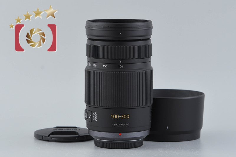 Panasonic LUMIX G VARIO 100-300mm f/4-5.6 MEGA O.I.S. H-FS100300