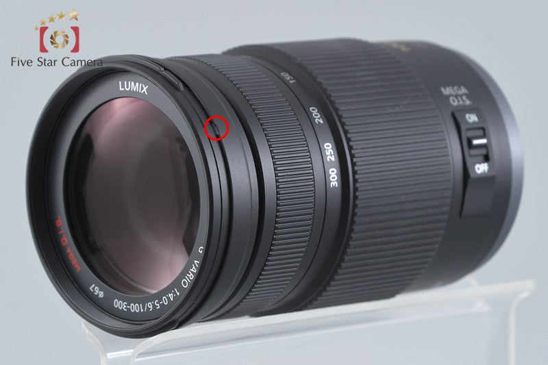 Panasonic LUMIX G VARIO 100-300mm f/4-5.6 MEGA O.I.S. H-FS100300