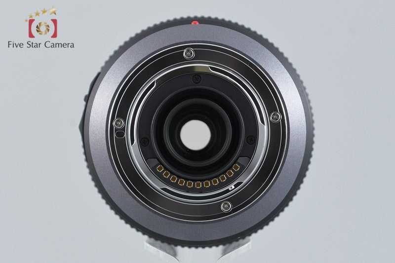 Panasonic LUMIX G VARIO 100-300mm f/4-5.6 MEGA O.I.S. H-FS100300