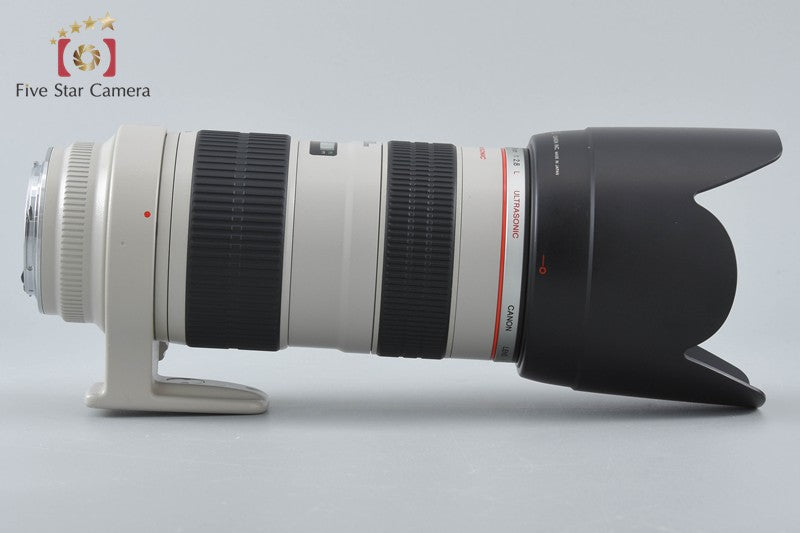 Canon EF 70-200mm f/2.8 L USM