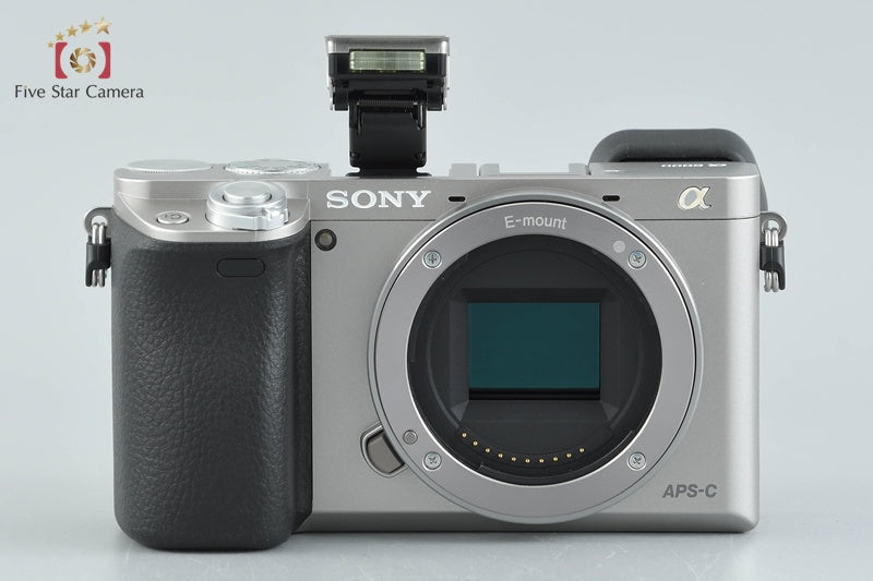 Sony α6000 ILCE-6000 Silver 24.3 MP 16-50 55-210 Lenses [Multiple Languages]