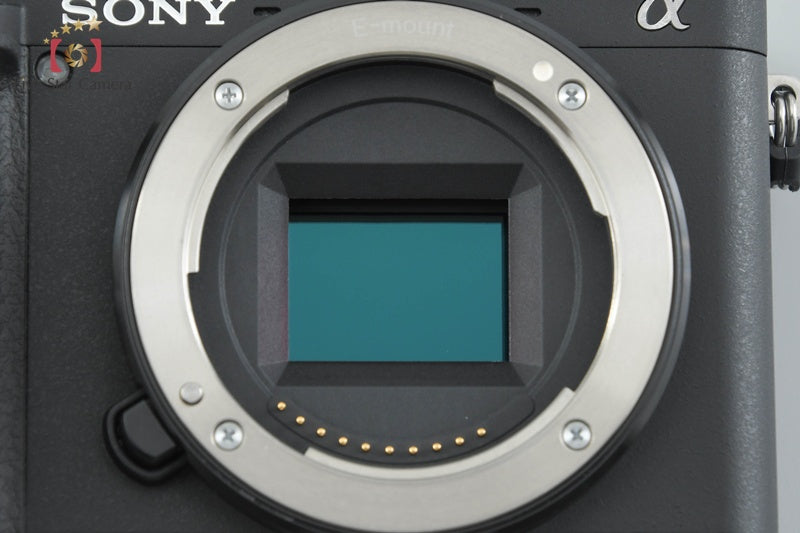 Sony Alpha α6400 ILCE-6400 Black 16-50 55-210 Lenses [Japanese Language Only]