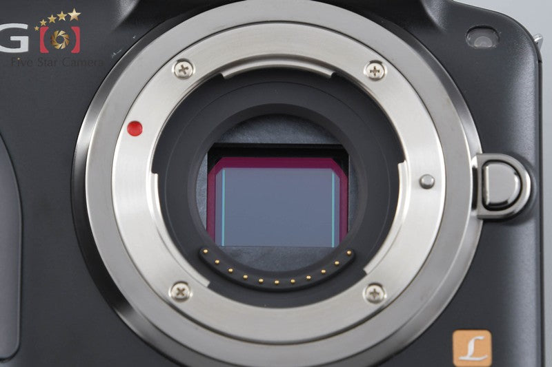Panasonic DMC-G3 Esprit Black 16.0 MP 14-42 Lens [Japanese Language Only]