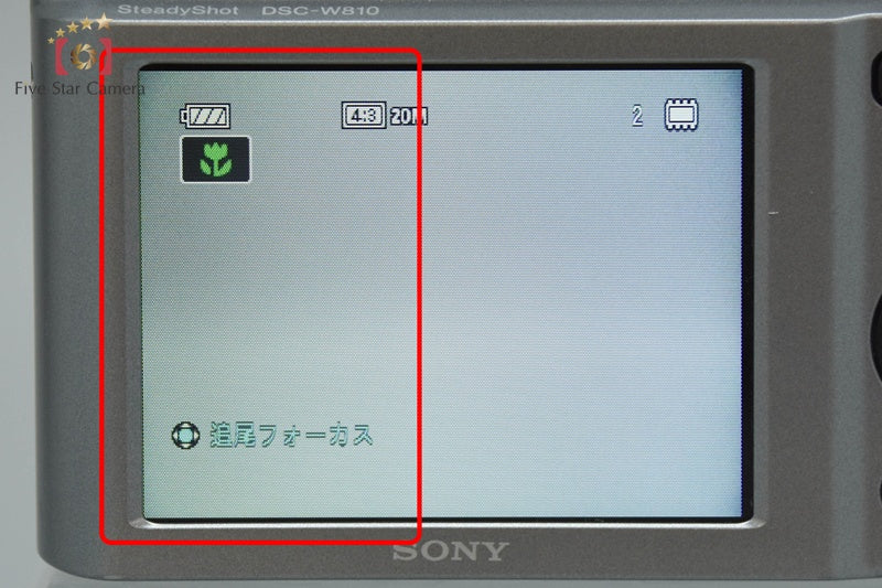 Sony Cyber-Shot DSC-W810 Silver 20.1 MP Digital Camera [Japanese Language Only]
