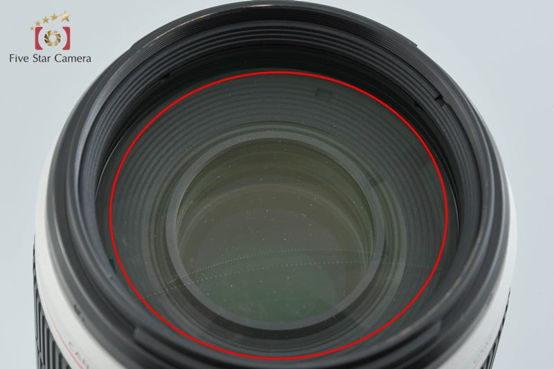 Canon EF 100-400mm f/4.5-5.6 L IS II USM