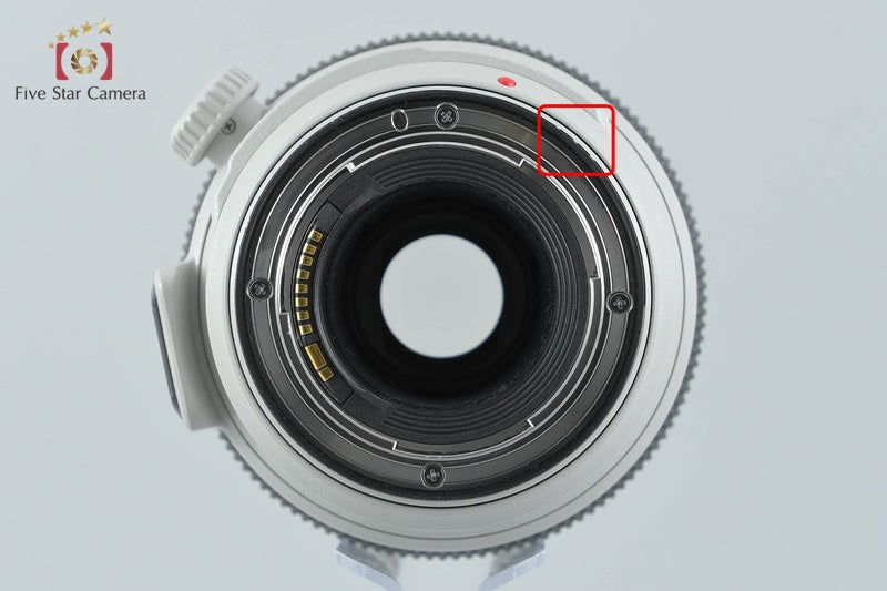 Canon EF 100-400mm f/4.5-5.6 L IS II USM