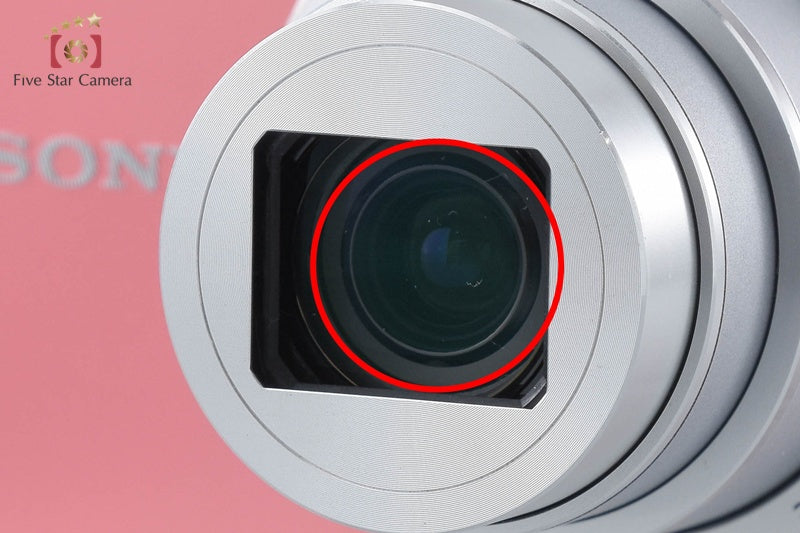Sony Cyber-Shot DSC-WX350 Pink 18.2 MP Digital Camera [Multiple Languages]