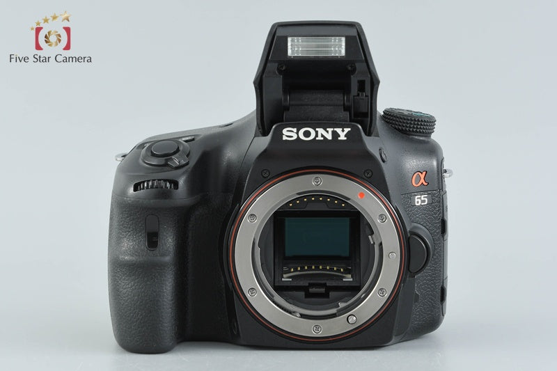 SONY α65 SLT-A65V 24.3 MP DSLR 18-55 55-200 Lenses [Japanese Language Only]